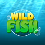 wild fish android application logo